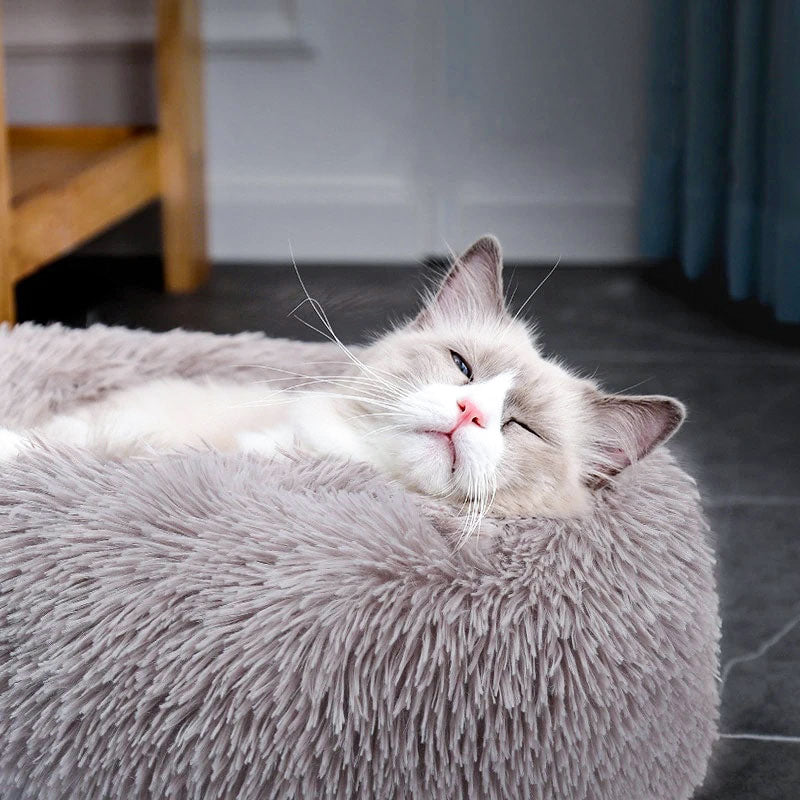 Cozy Cloud Cat Bed