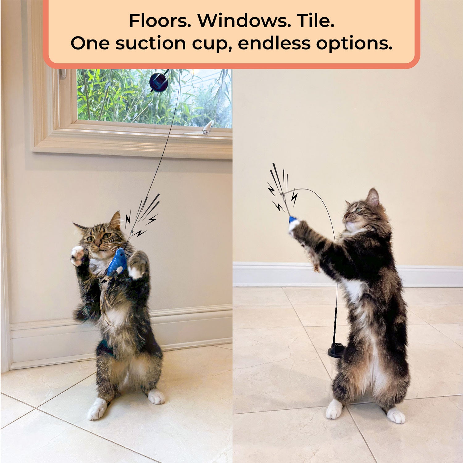 Interactive Bird Simulation Cat Toy Set (Chirping Edition)