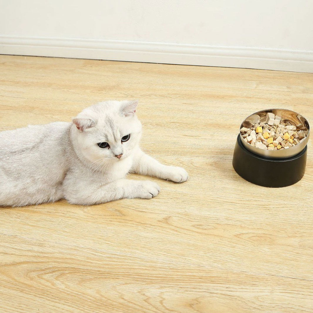 Stainless Steel Elevated Pet Bowl