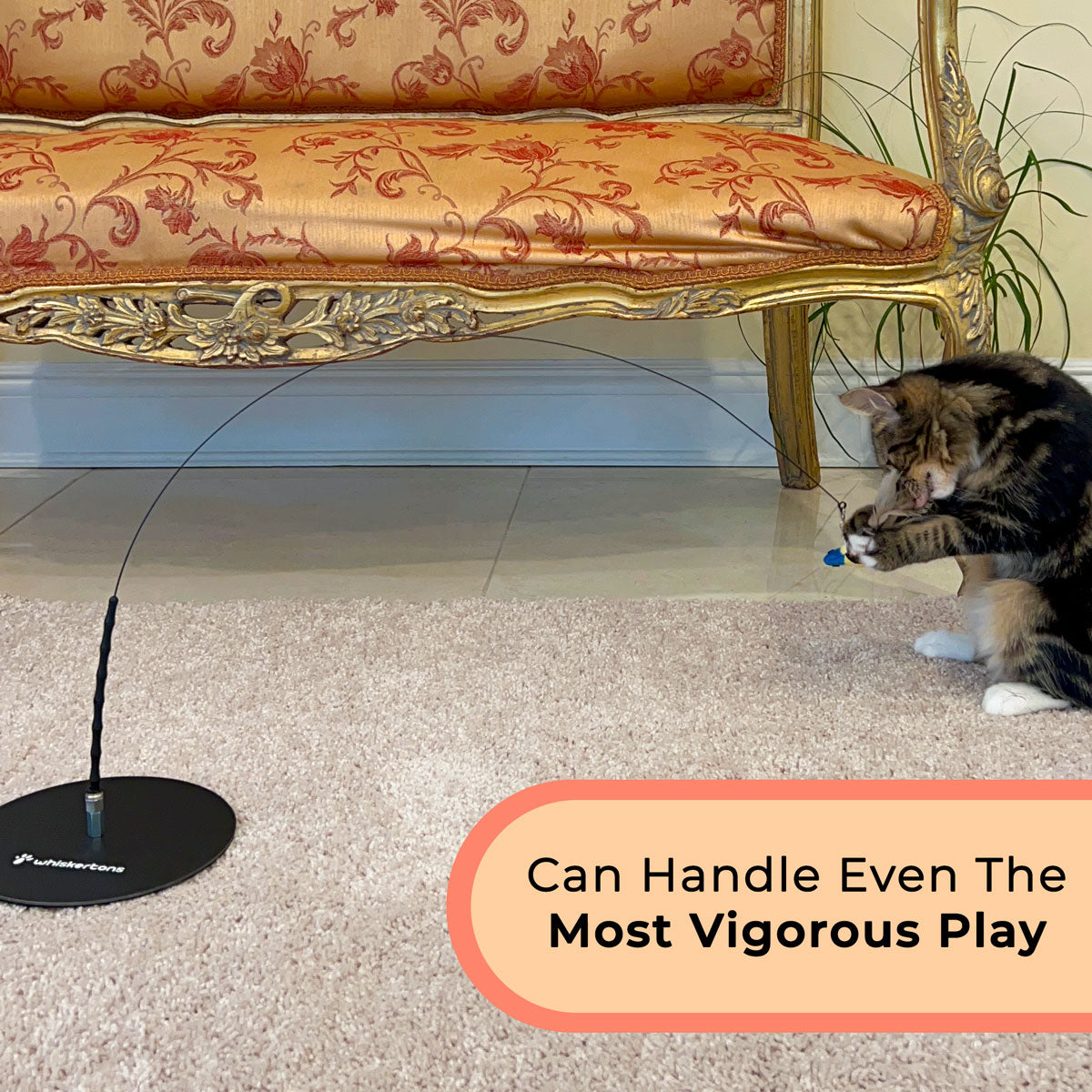 Interactive Bird Simulation Cat Toy Hybrid Bundle (Deluxe Edition)