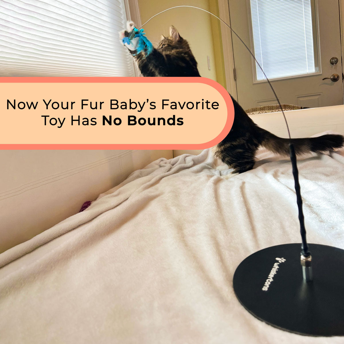 Interactive Bird Simulation Cat Toy Hybrid Bundle (Deluxe Edition)