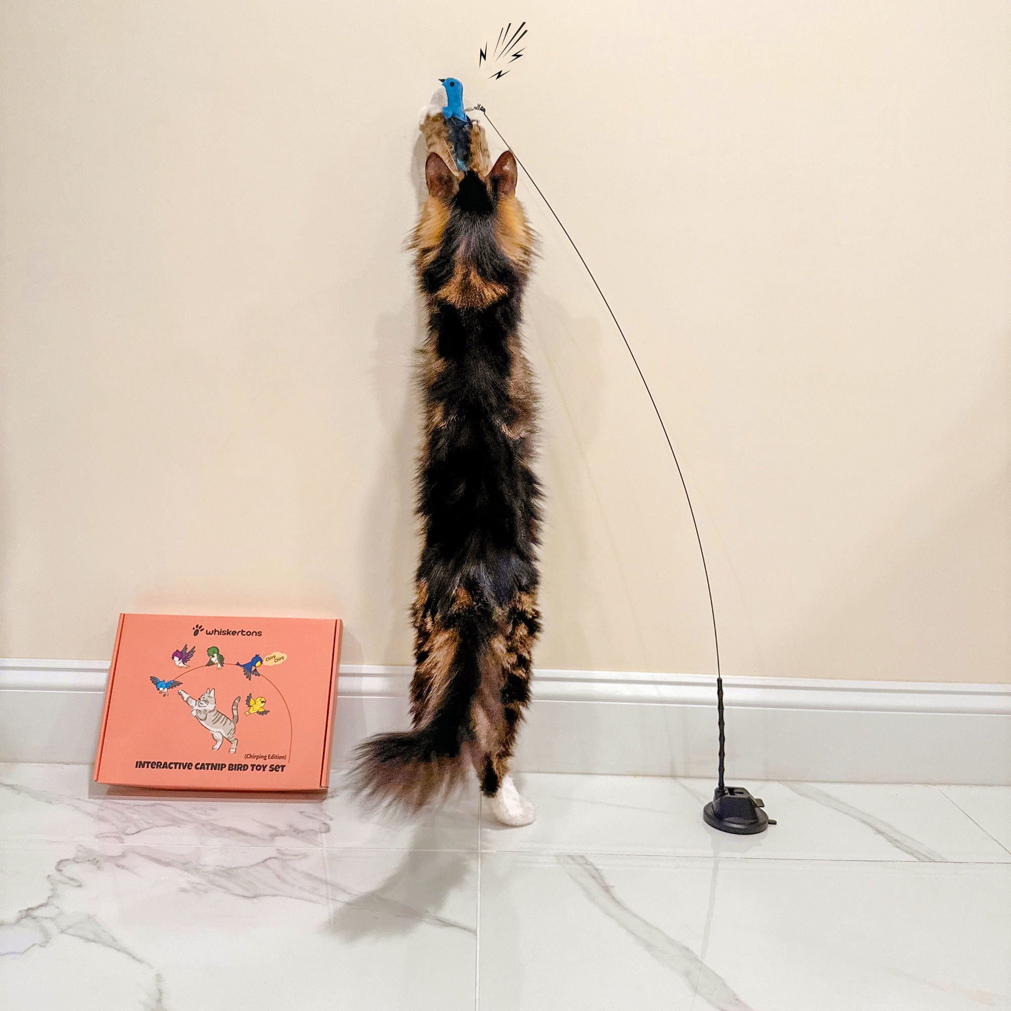 Interactive Bird Simulation Cat Toy Set (Chirping Edition)
