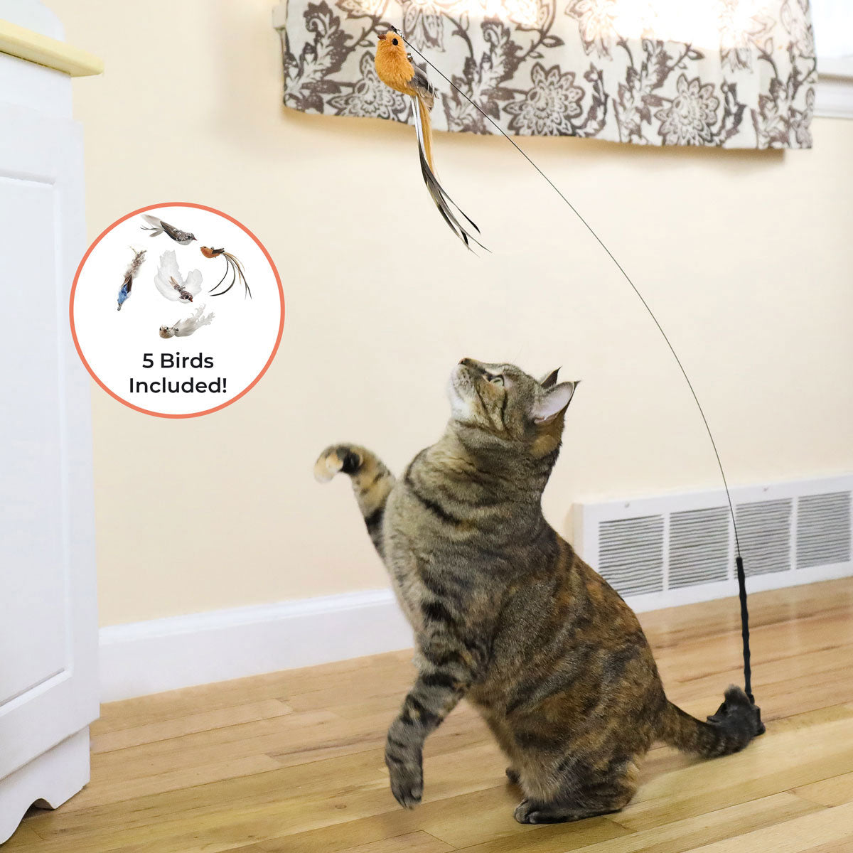 Interactive Bird Simulation Cat Toy Hybrid Bundle (Deluxe Edition)