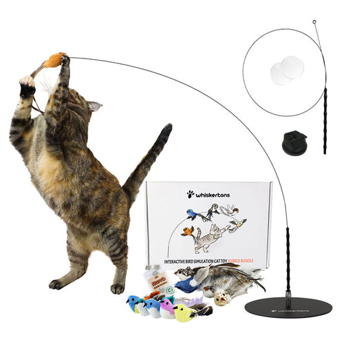 Interactive Bird Simulation Cat Toy Hybrid Bundle (Deluxe Edition)