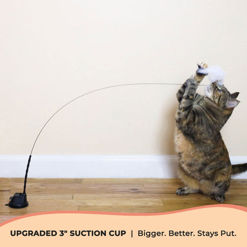 Replacement Wire + Base (Interactive Bird Simulation Cat Toy)