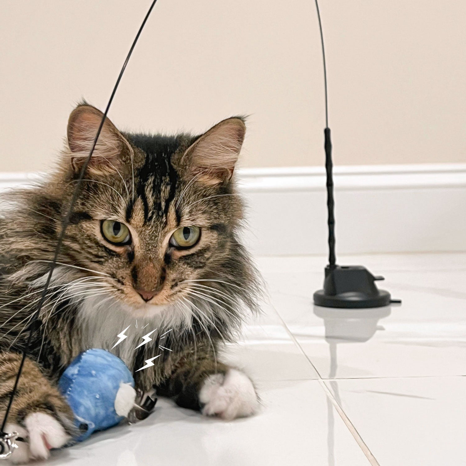 Replacement Wire + Base (Chirping Bird Toy)