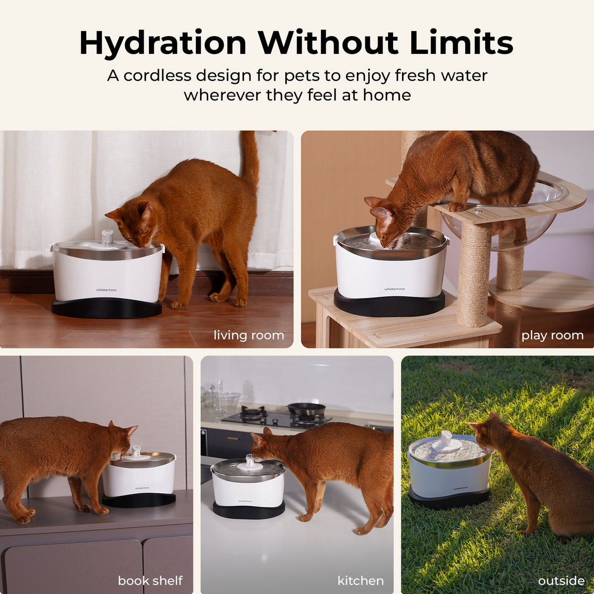EverMount Battery-Operated Pet Water Fountain