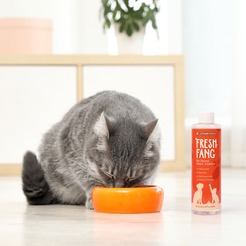 FreshFang Dental Water Additive