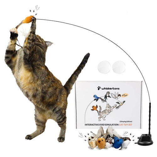 Interactive Bird Simulation Cat Toy Set (Chirping Edition)