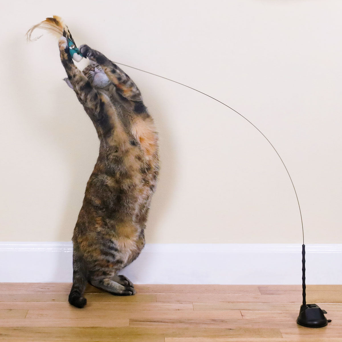 Interactive Bird Simulation Cat Toy Furr-ever Bundle