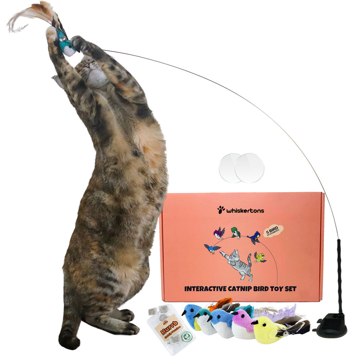 Interactive Bird Simulation Cat Toy Set