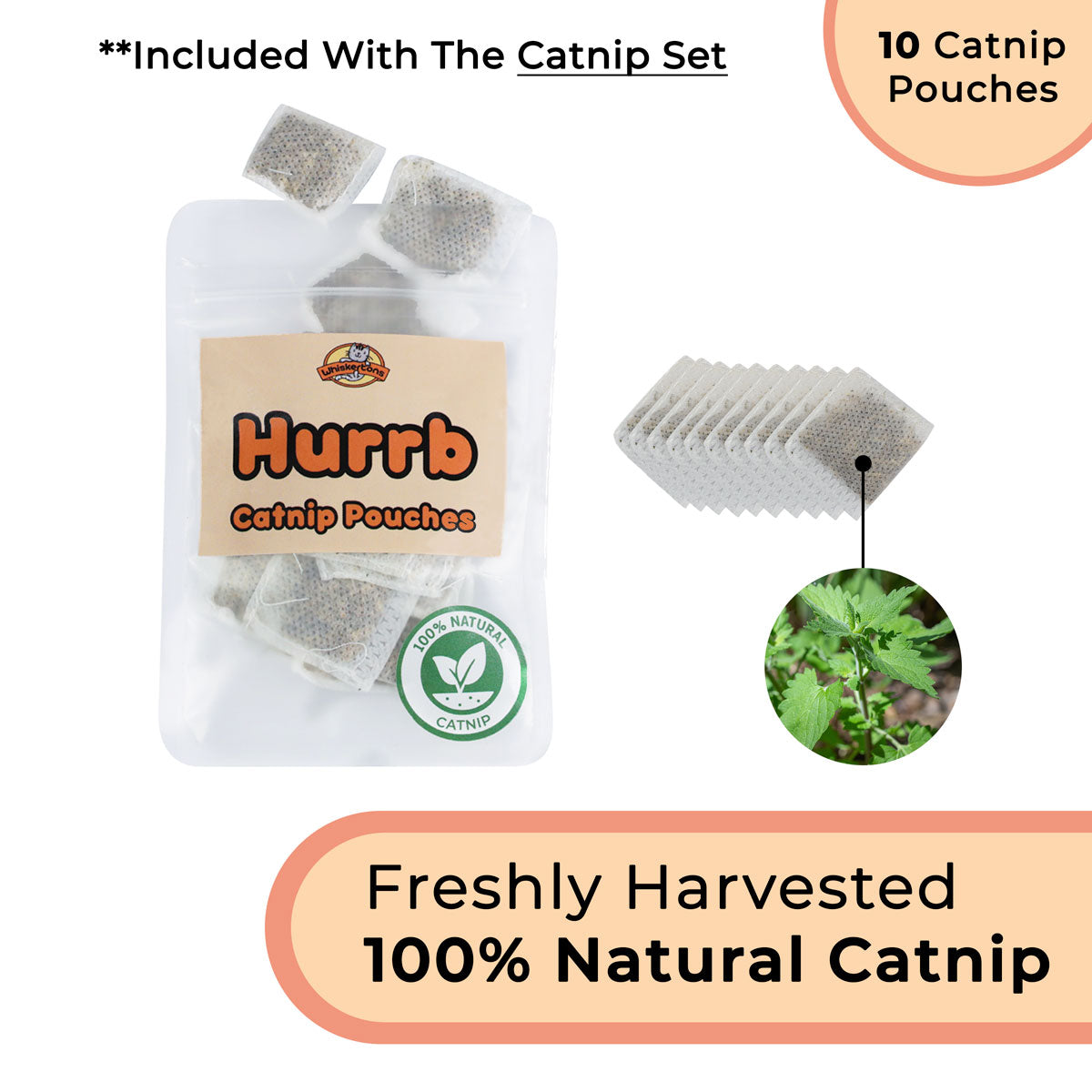 Interactive Bird Simulation Cat Toy Hybrid Bundle