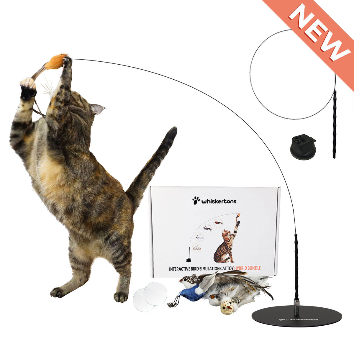 Interactive Bird Simulation Cat Toy Hybrid Bundle