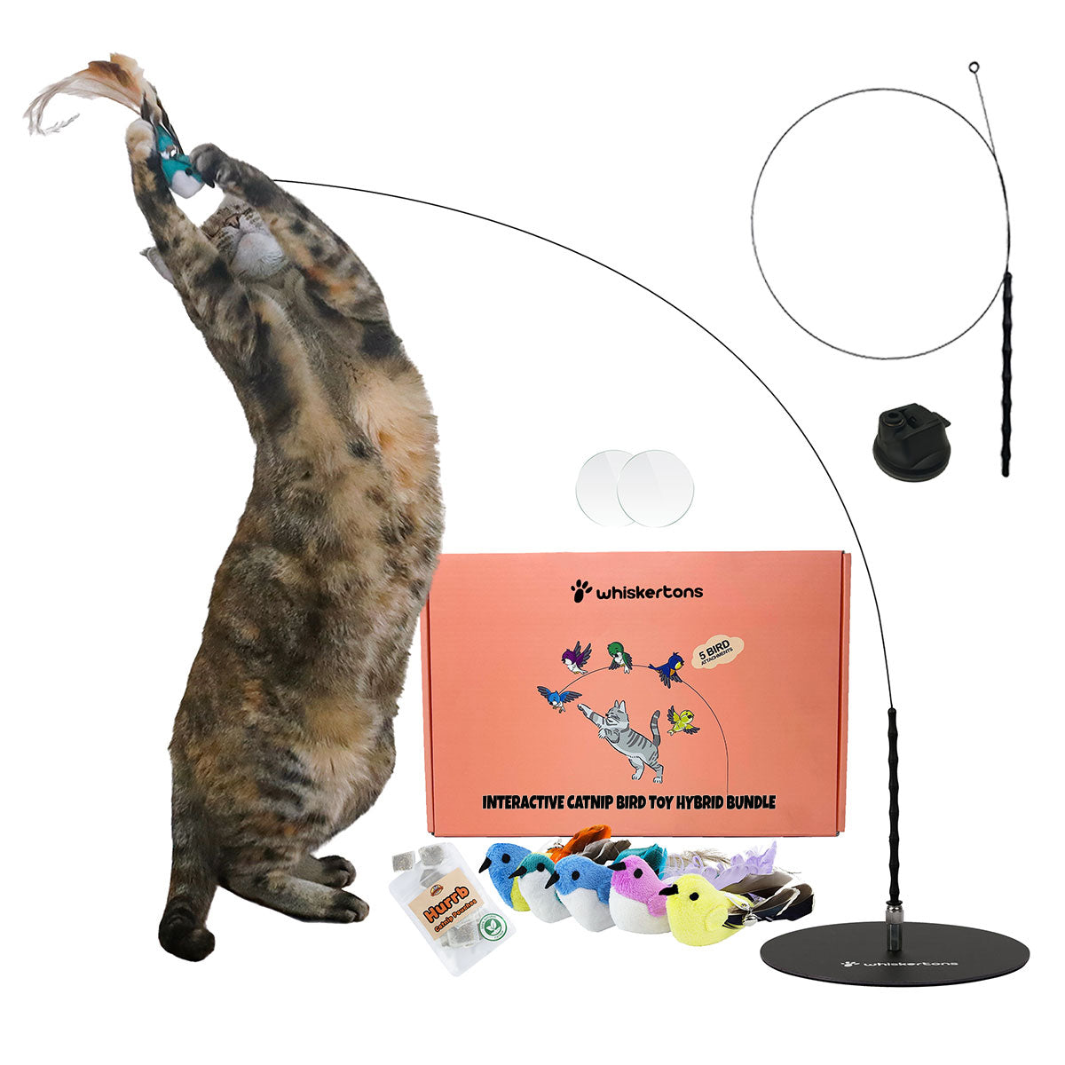 Interactive Bird Simulation Cat Toy Hybrid Bundle