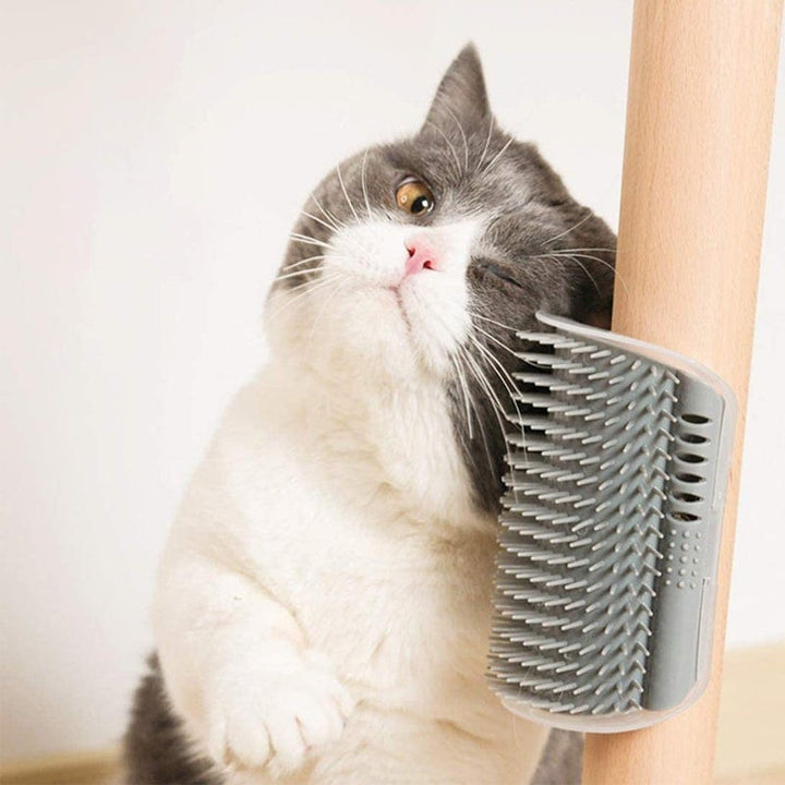 Cat-Corner-Self-Groomer